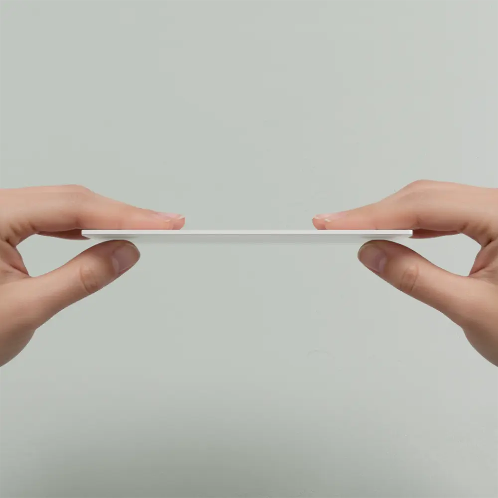 Early Vision Of The Future