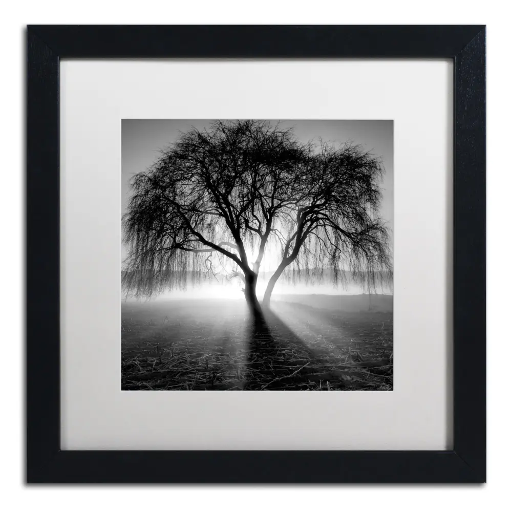 Framed Wall Art - Moises Levy 'Lightning Tree I' Wall Decor with Matted Frame