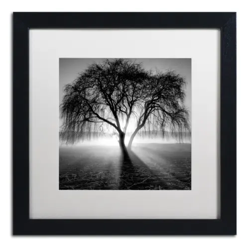 Framed Wall Art - Moises Levy 'Lightning Tree I' Wall Decor with Matted Frame