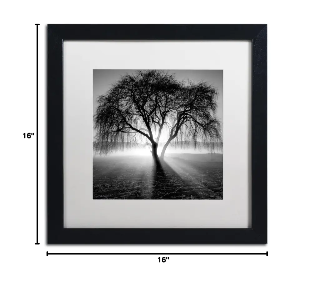 Framed Wall Art - Moises Levy 'Lightning Tree I' Wall Decor with Matted Frame