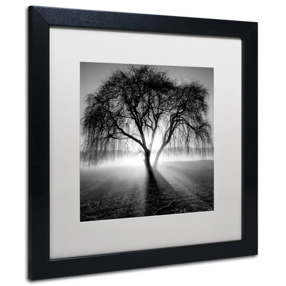 Framed Wall Art - Moises Levy 'Lightning Tree I' Wall Decor with Matted Frame