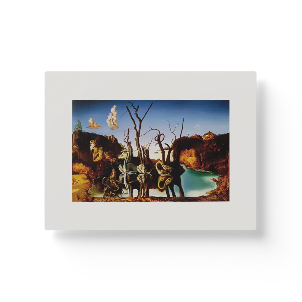 Swans Reflecting Elephants