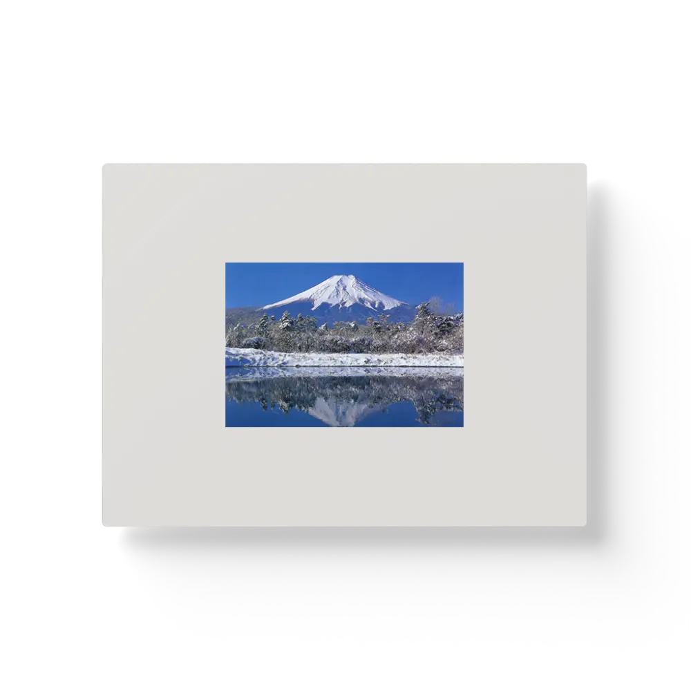 Mount Fuji and Irises