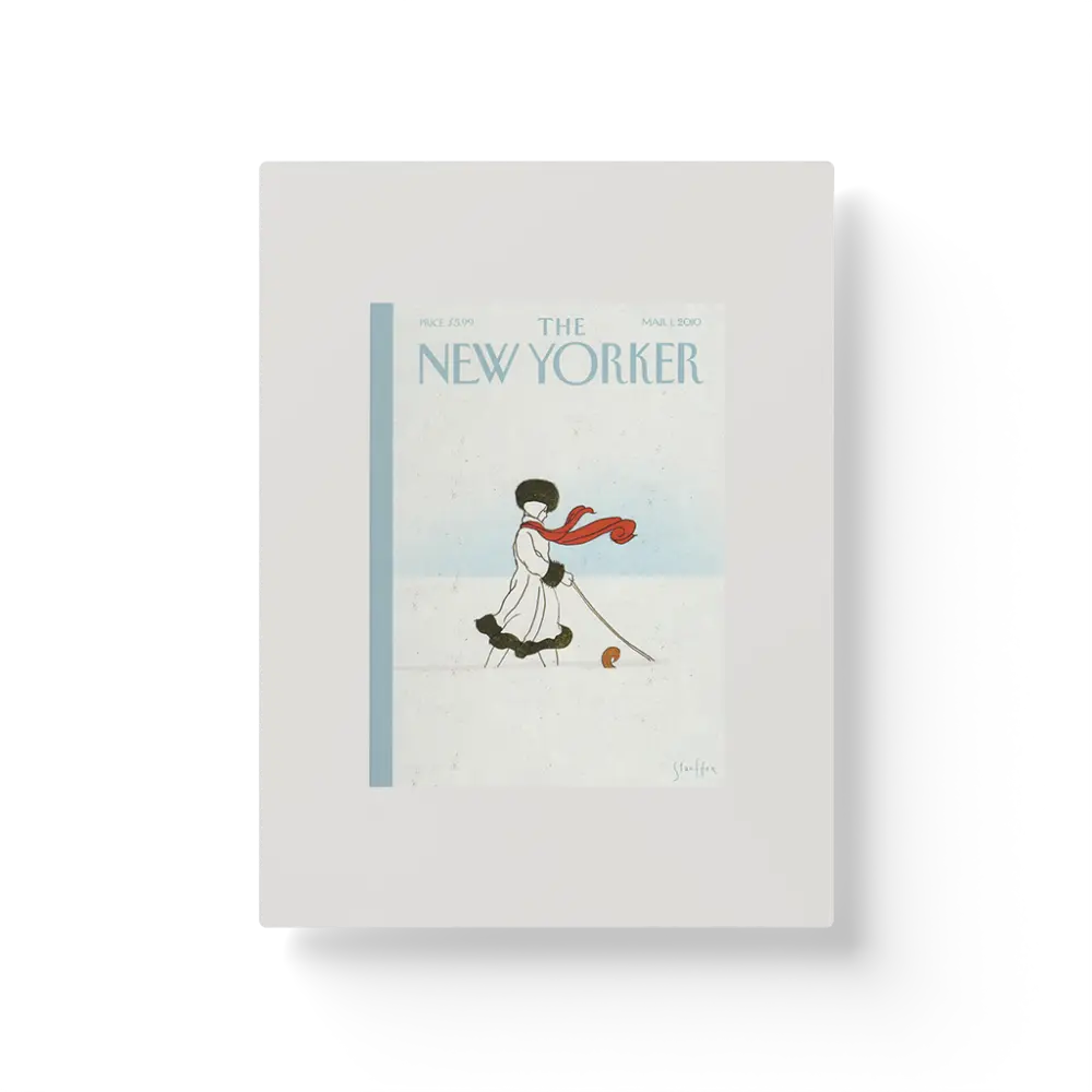 The New Yorker: Whiteout