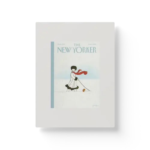 The New Yorker: Whiteout