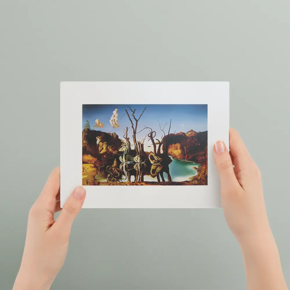 Swans Reflecting Elephants