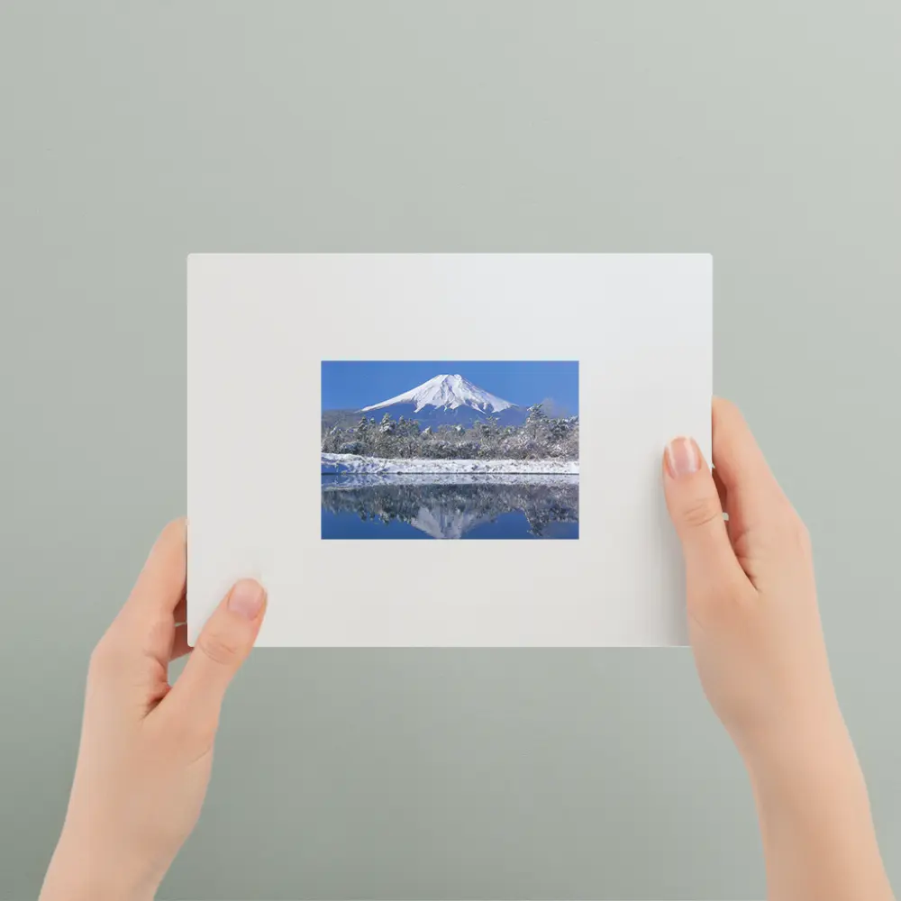 Mount Fuji and Irises