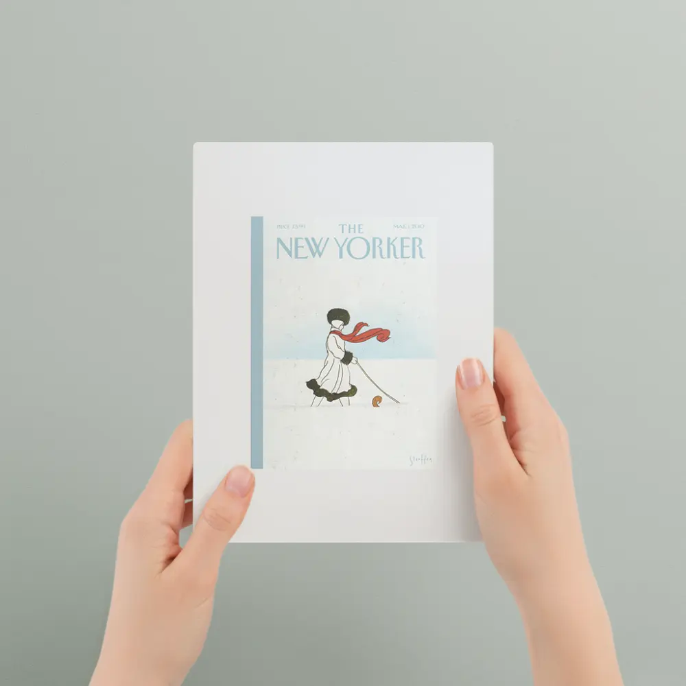 The New Yorker: Whiteout