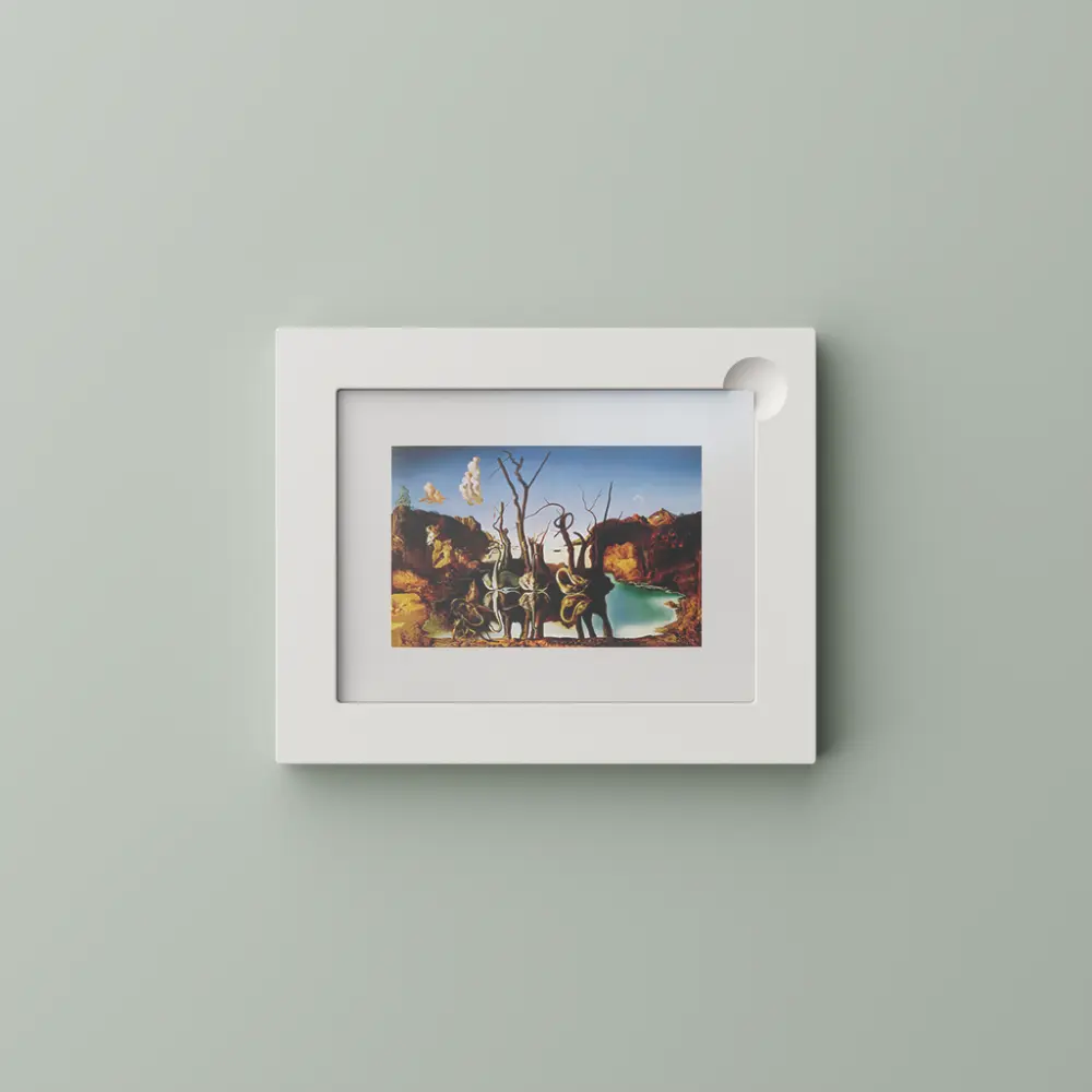 Swans Reflecting Elephants