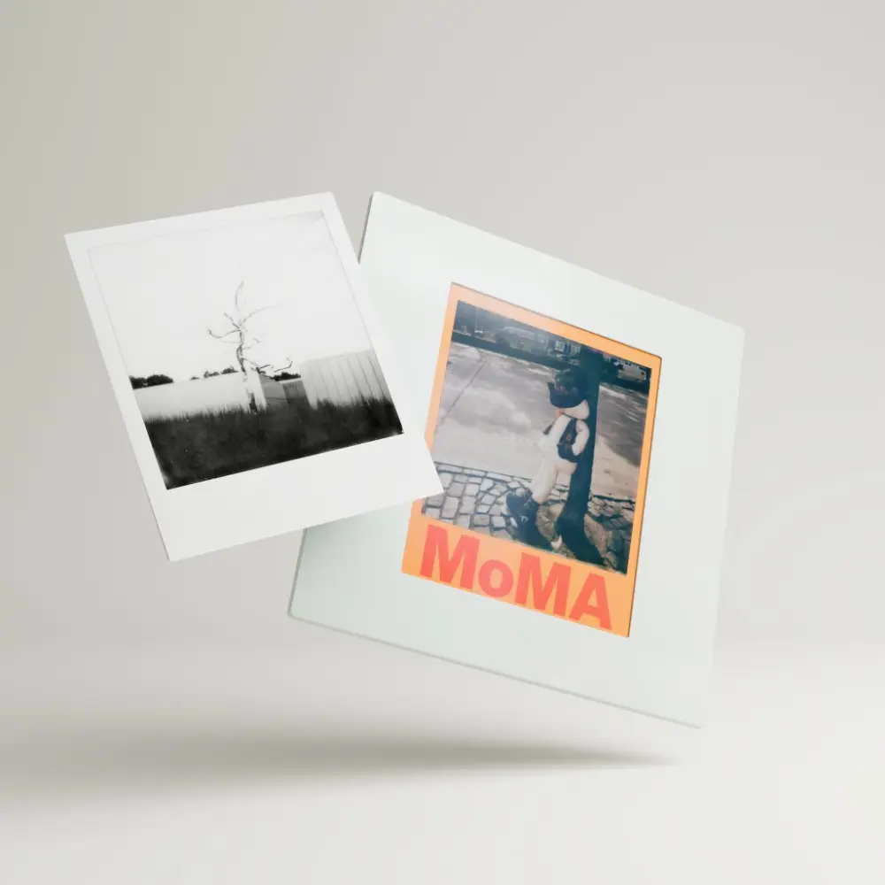 Polaroid Imagelet Sleeve