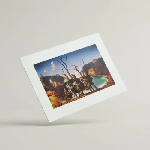 Swans Reflecting Elephants