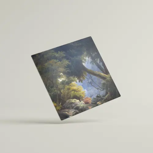 Landscape Study
