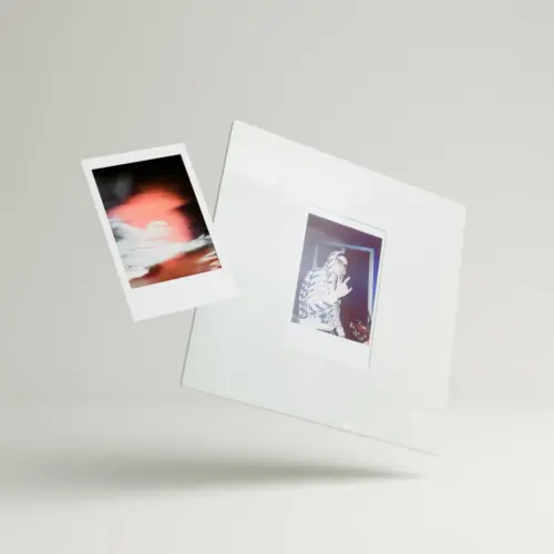 Instax Imagelet Sleeve