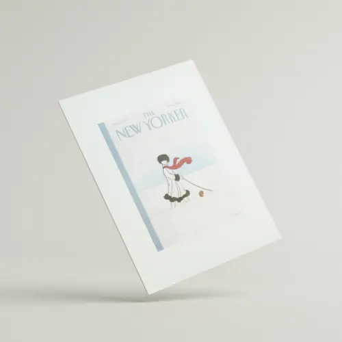 The New Yorker: Whiteout