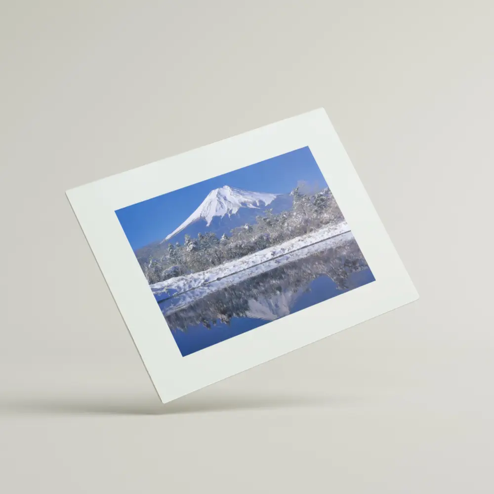 Mount Fuji and Irises