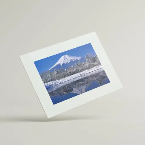 Mount Fuji and Irises