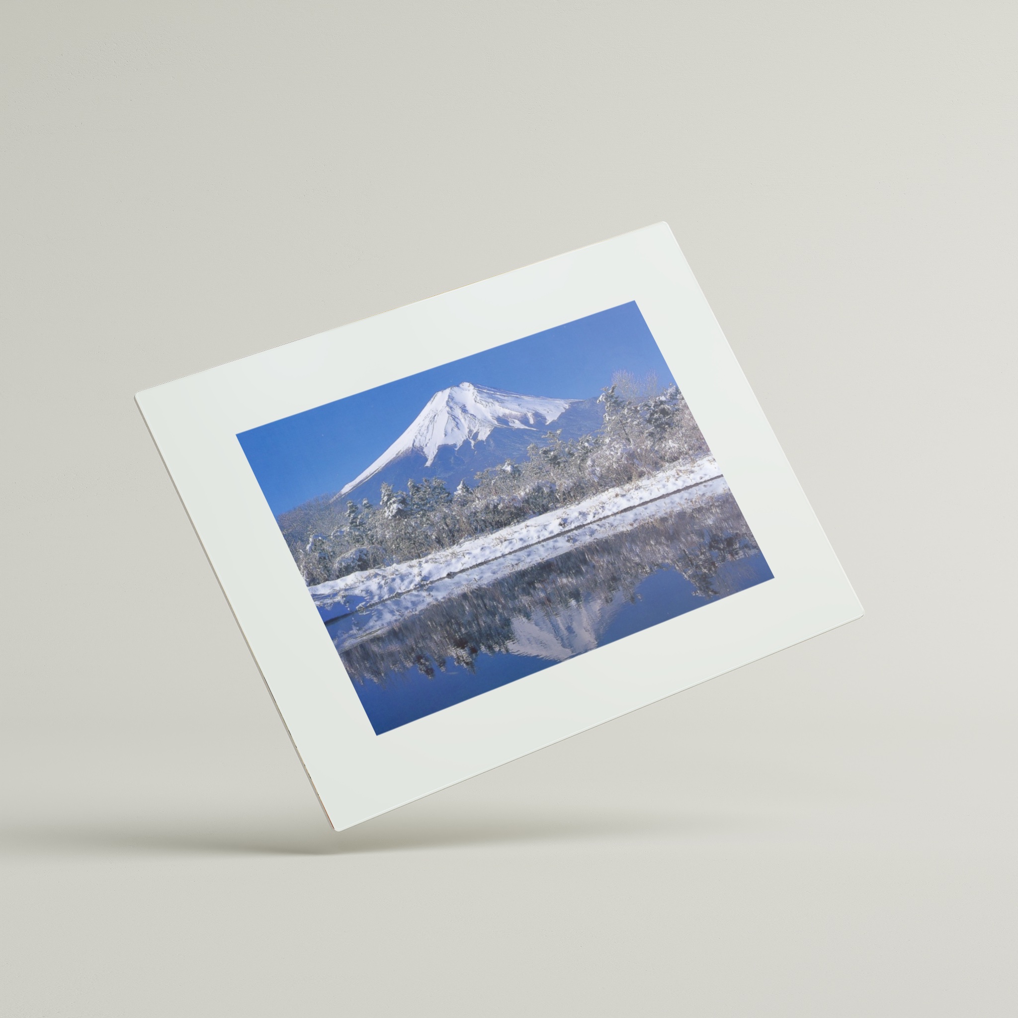 Mount Fuji and Irises