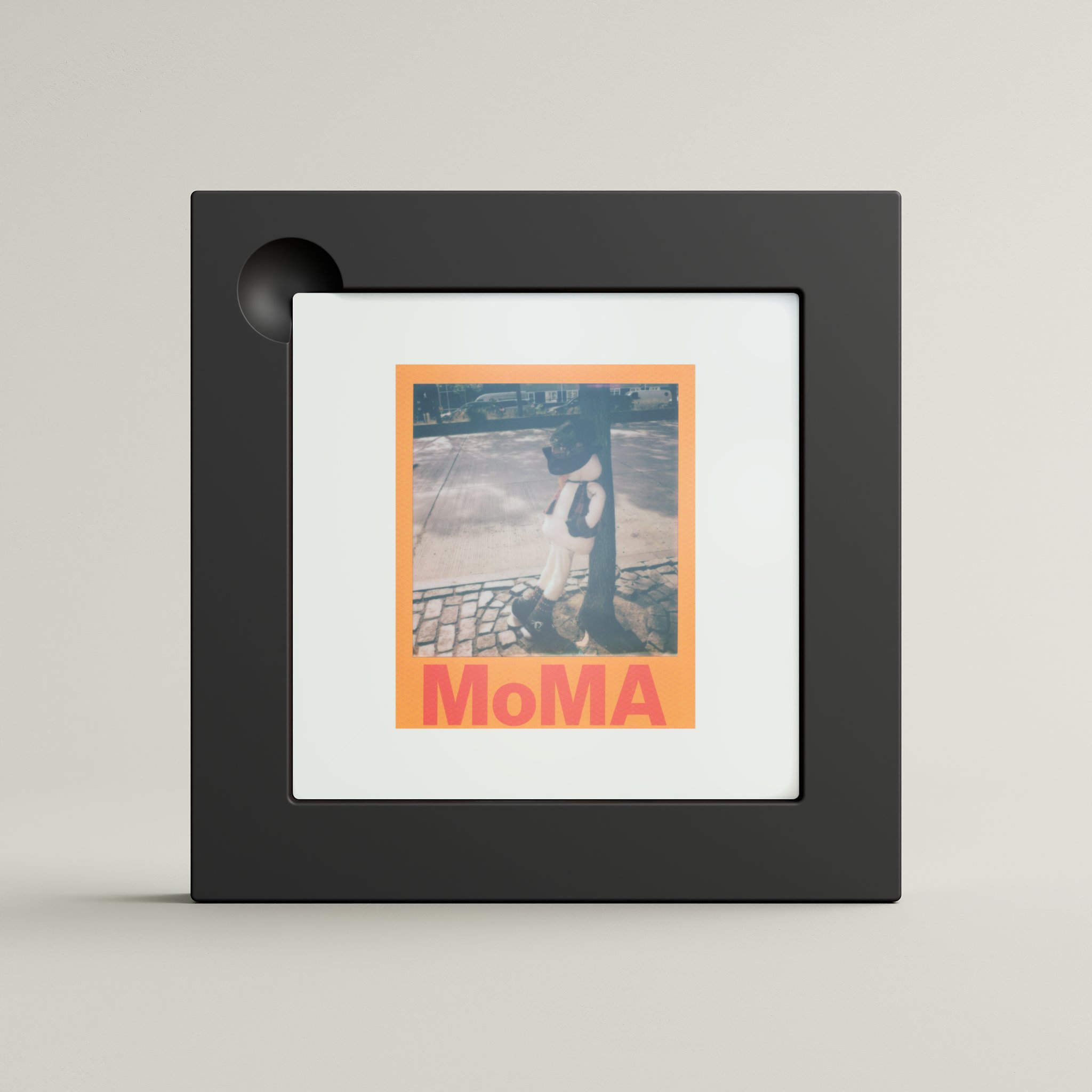 Polaroid Imagelet Sleeve (framed)