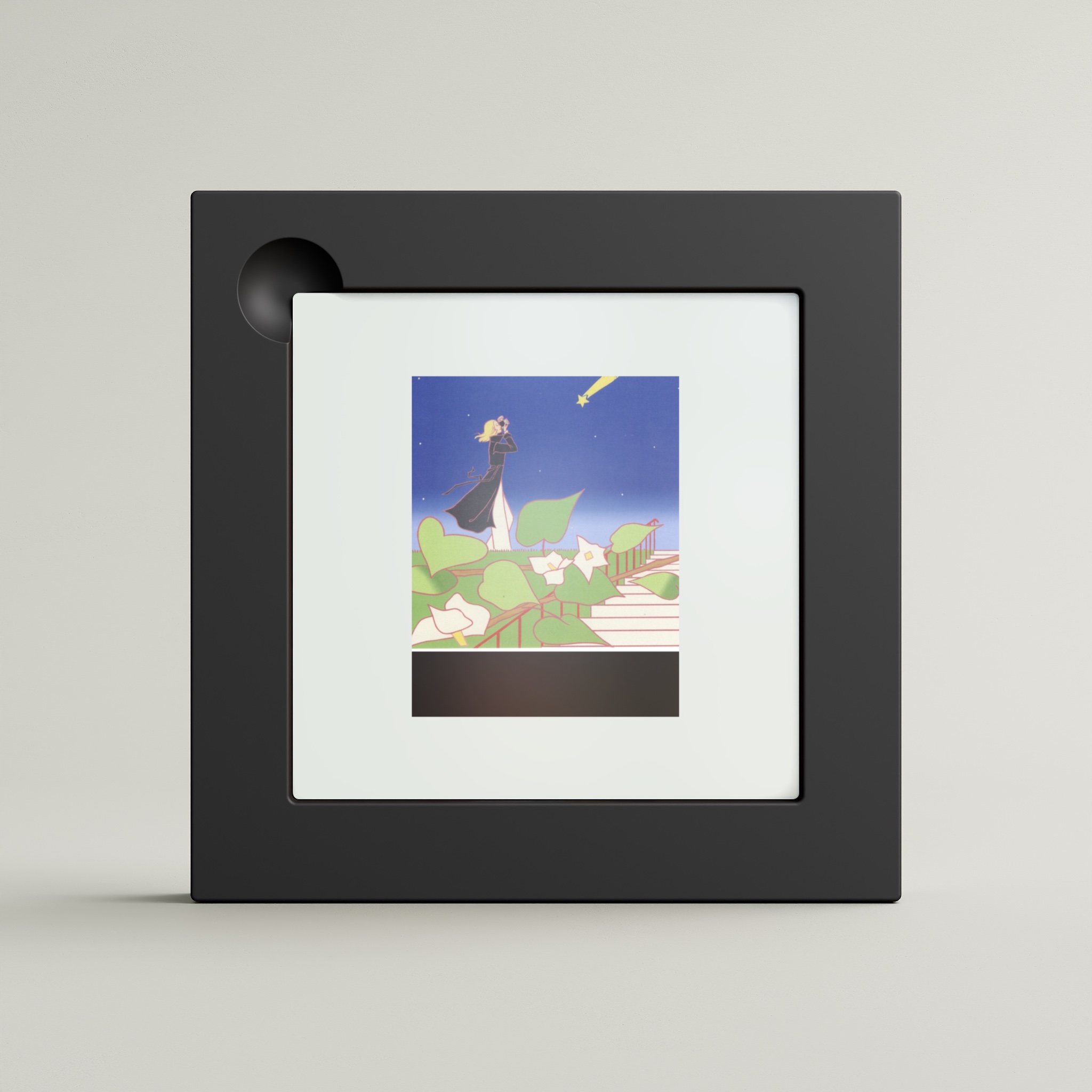 Sankaramon × FPF (2) (framed)