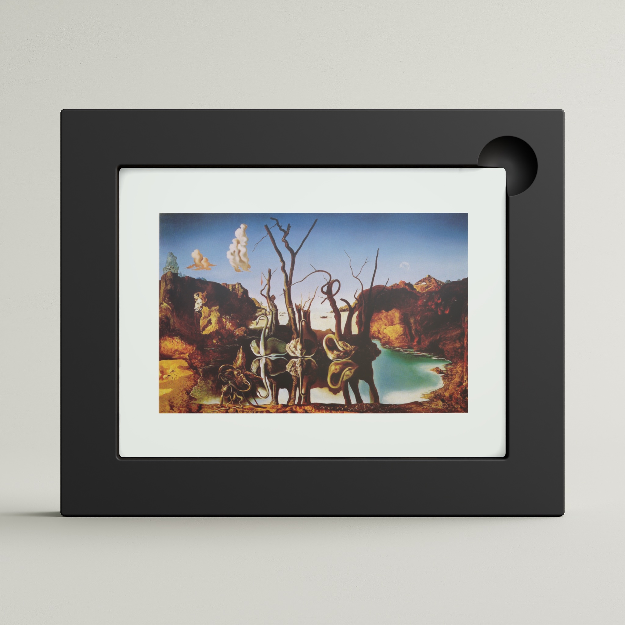 Swans Reflecting Elephants (framed)