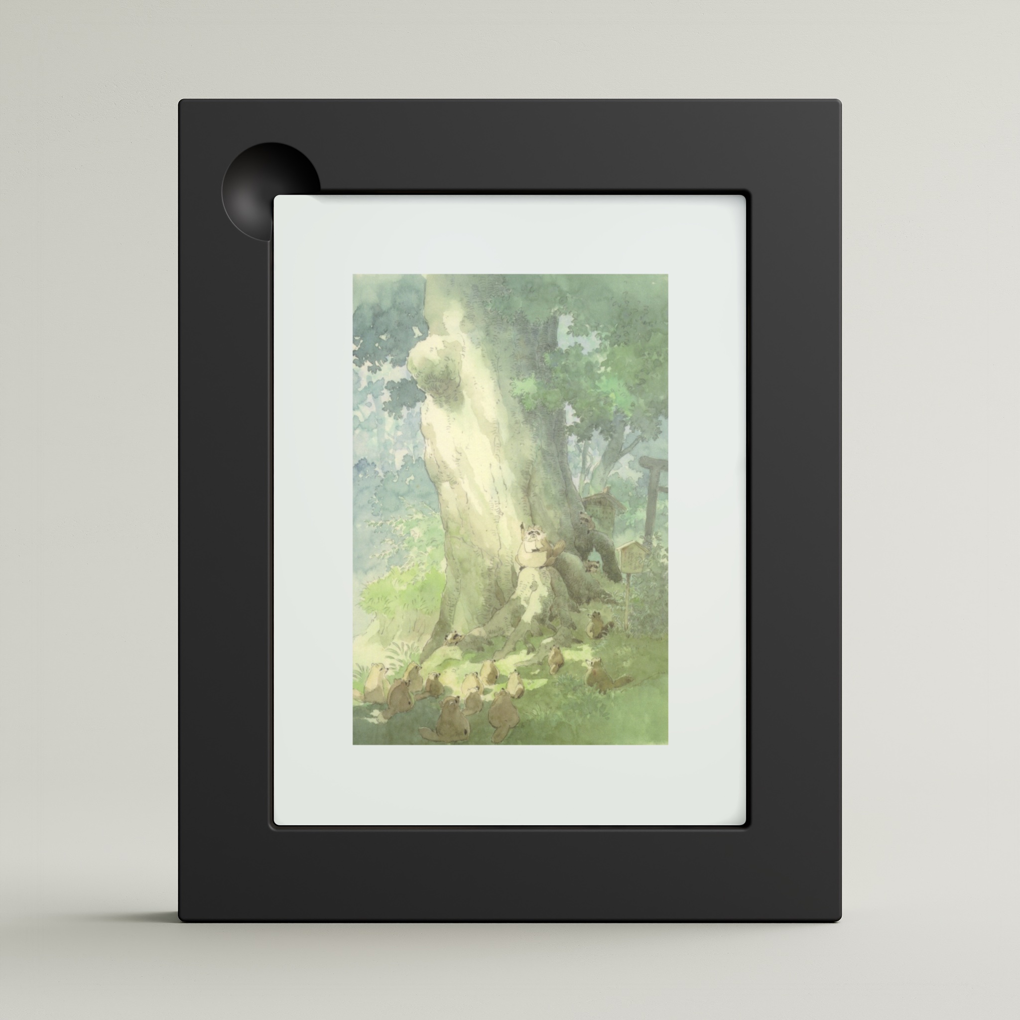 Pom Poko（1994） (framed)