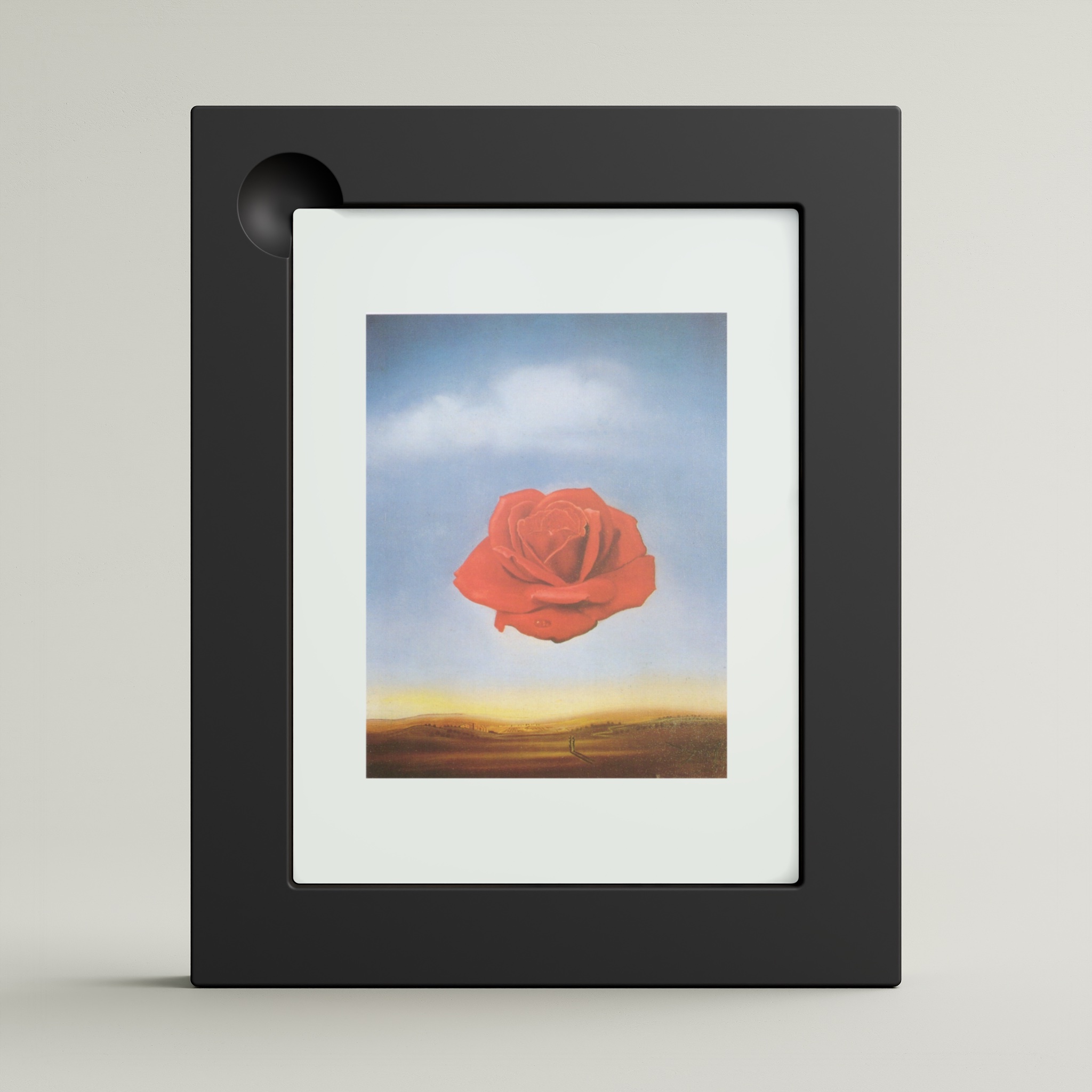 The Meditative Rose (framed)