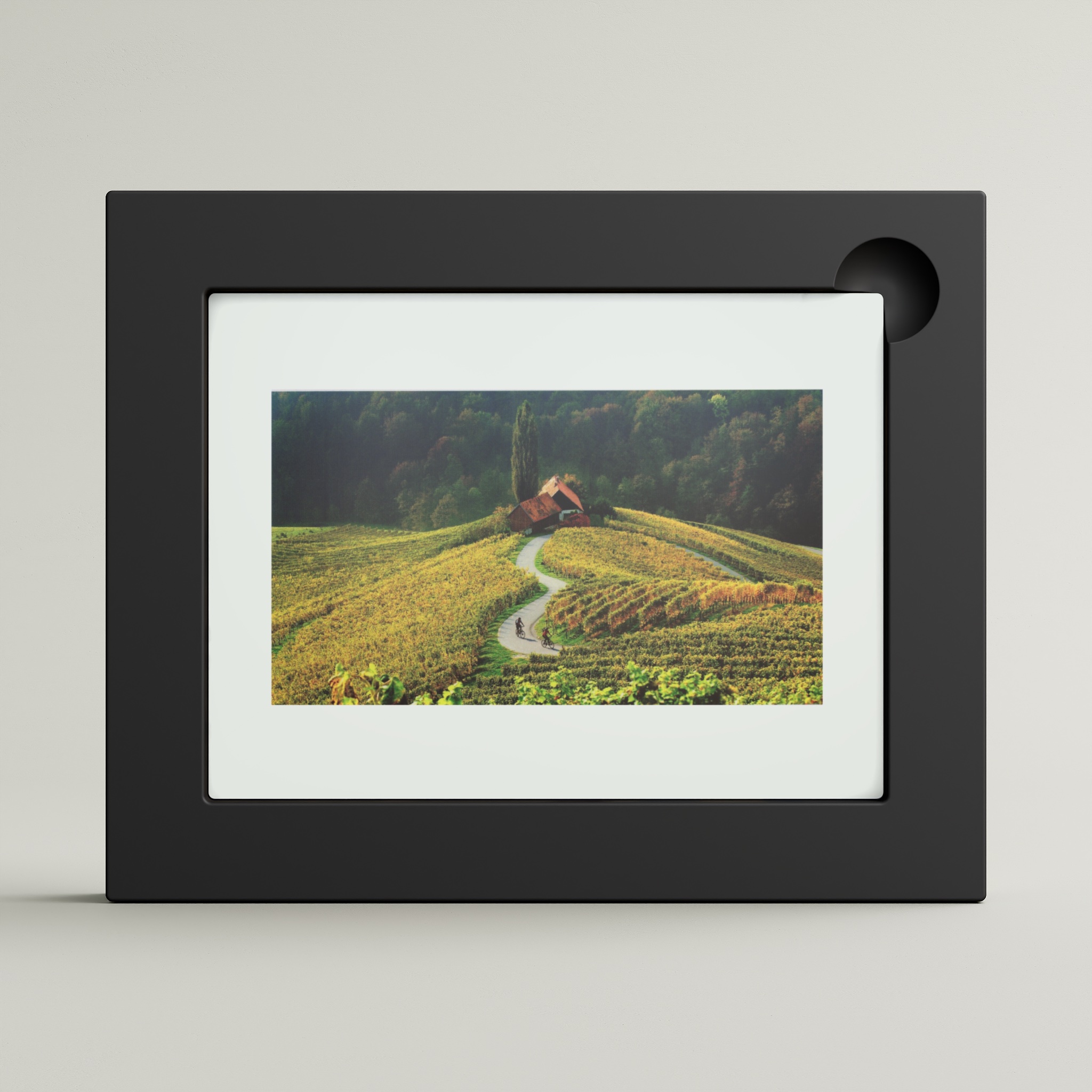 On the Sunny Side of the Alps (framed)